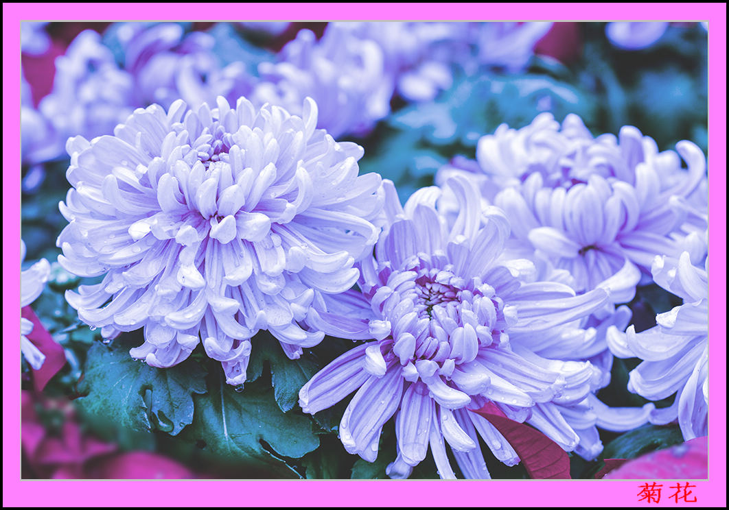 2013��9��30�վջ� 4��10100.jpg