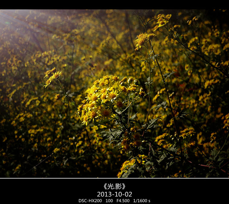 DSC02790 ����_����.jpg