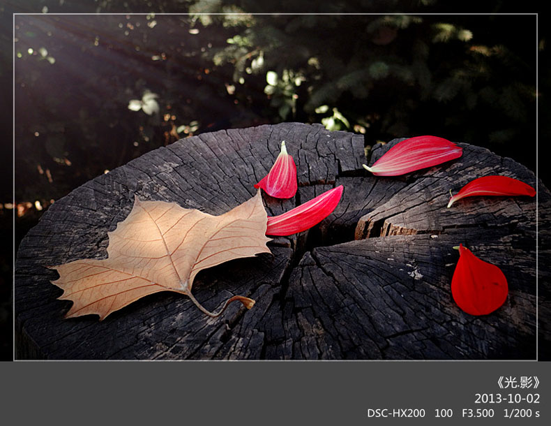 DSC02800_���� ����.jpg