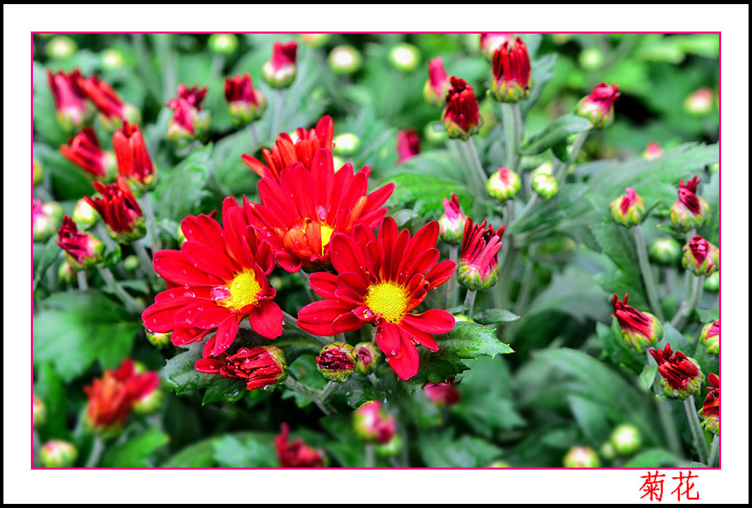 2013��9��30�վջ� 7��10199.jpg