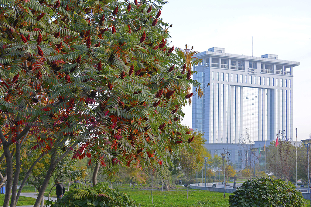 ʯ����ɫ 022ab.jpg