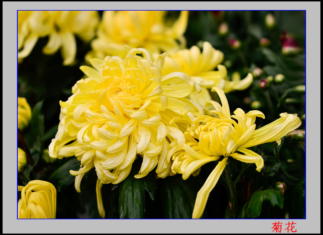 2013��9��30�վջ� 8��10211.jpg