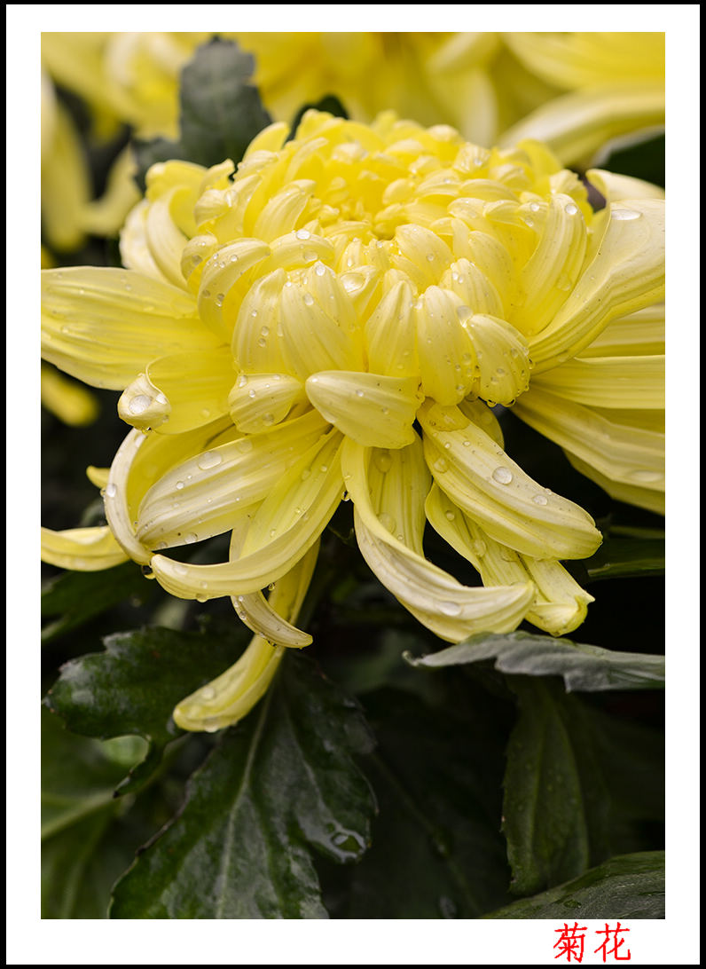 ��ת ���� 2013��9��30�վջ�10�� 10011.jpg