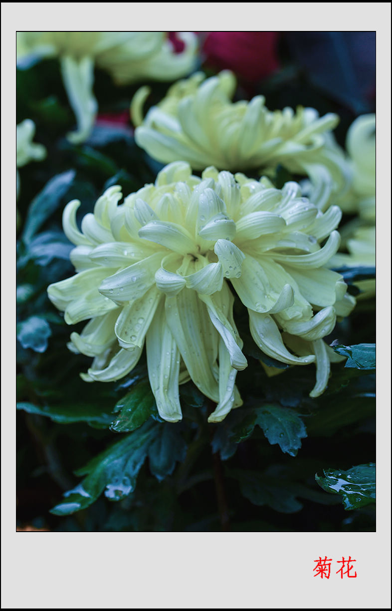 ��ת ��ת 2013��9��30�վջ� 11��10033.jpg