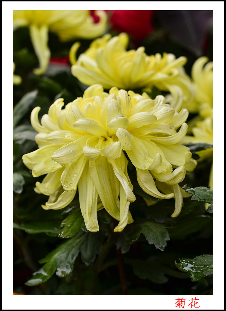 ��ת ��ת 2013��9��30�վջ�12��10022.jpg