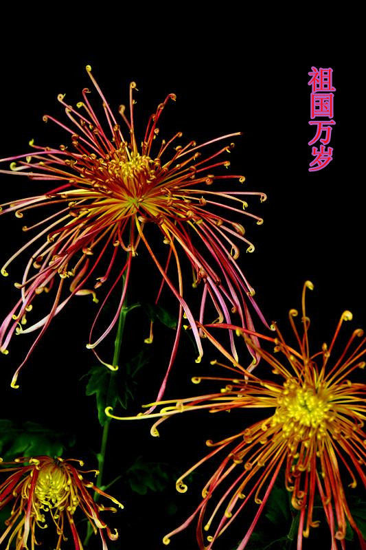 �������---���ڹ���64����