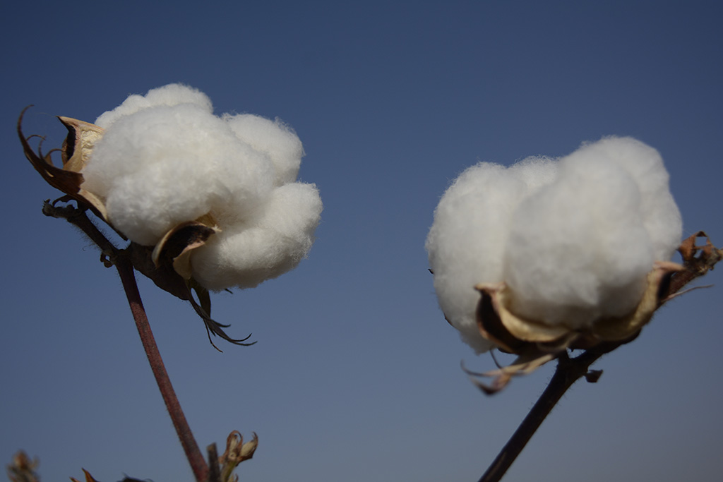 ���� 053a.jpg