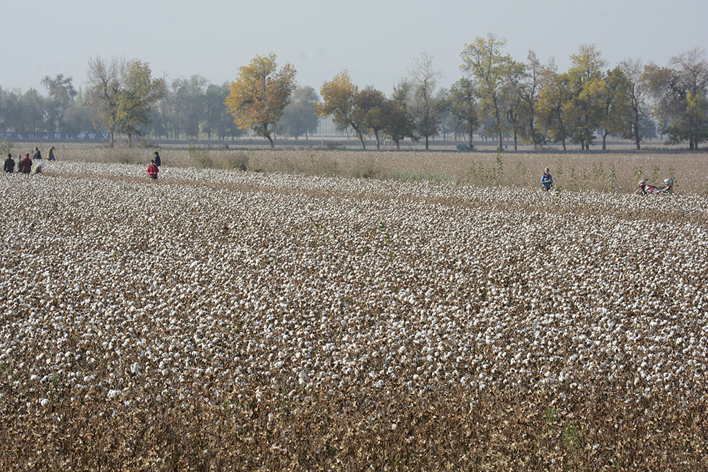 ���� 014s.jpg