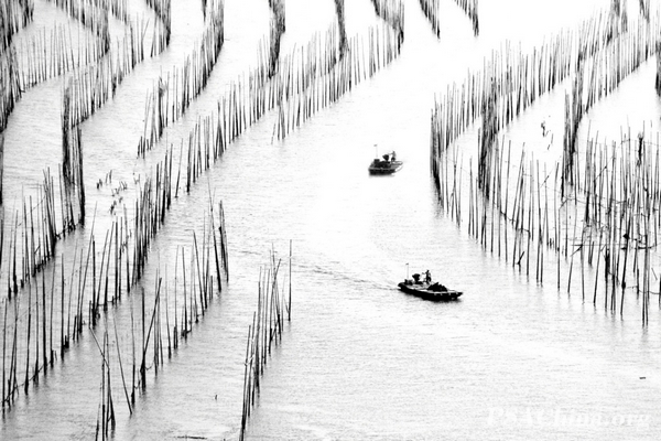 08.��������Ʒ����������Fishing back.jpg