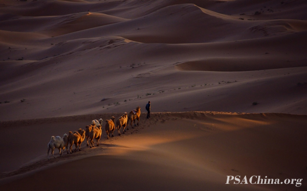 11.������Ʒ��������(��)��morning light.jpg