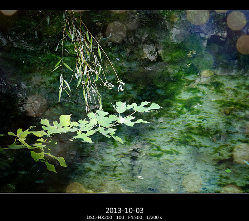 DSC02937_���� ����.jpg