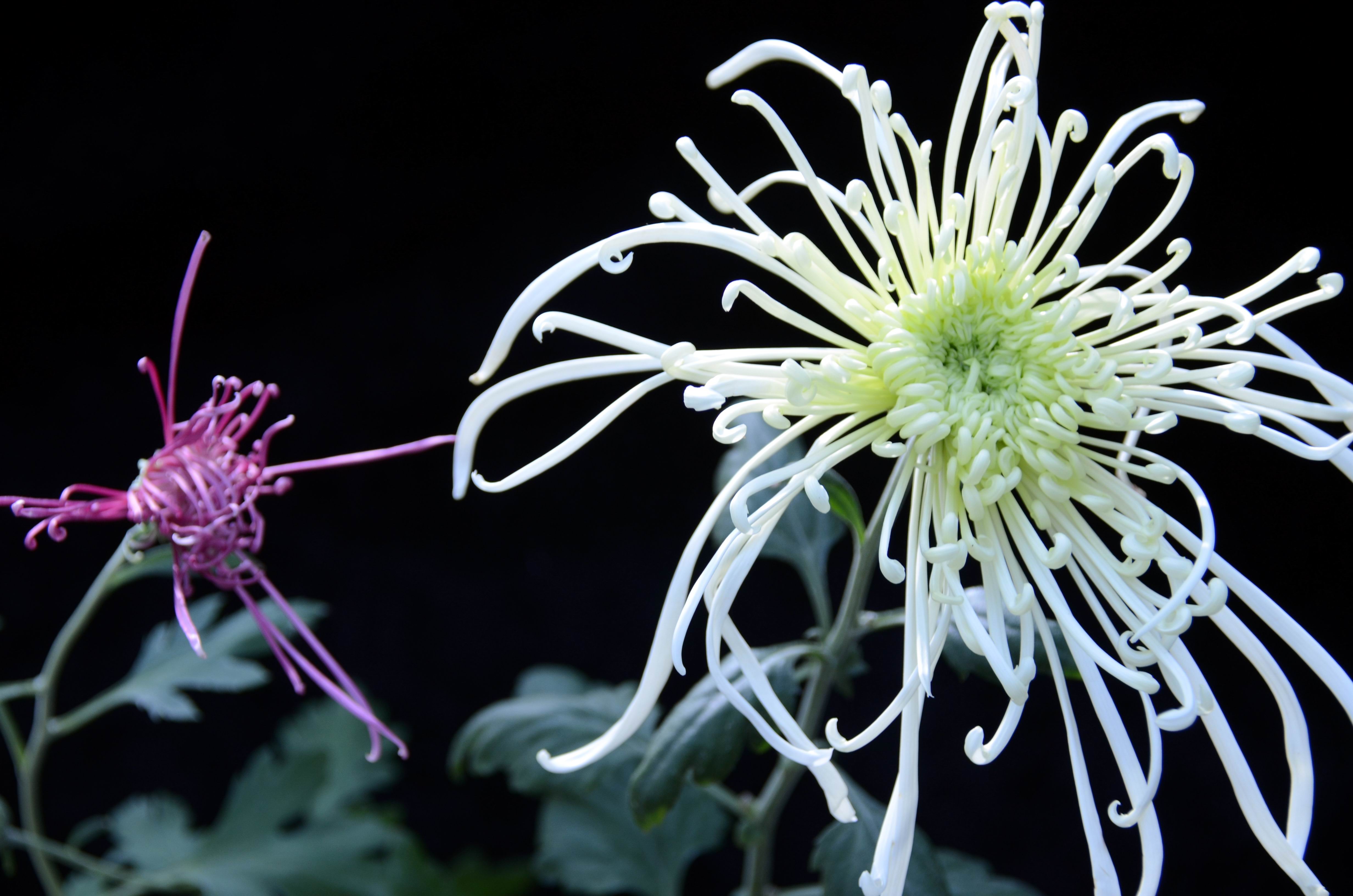 �����   ������.jpg