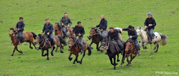 09.��Ծ��Ʒ������������ͼ��Take the lamb of nine horses.jpg