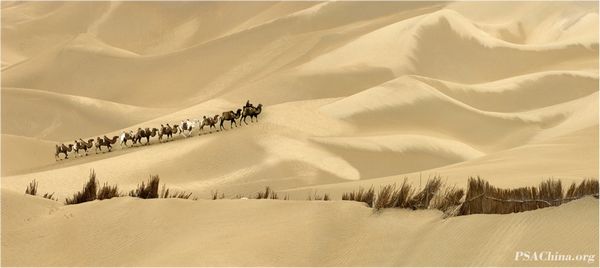 04.������Ʒ����ɳ��֮����Desert Territory No.2.jpg