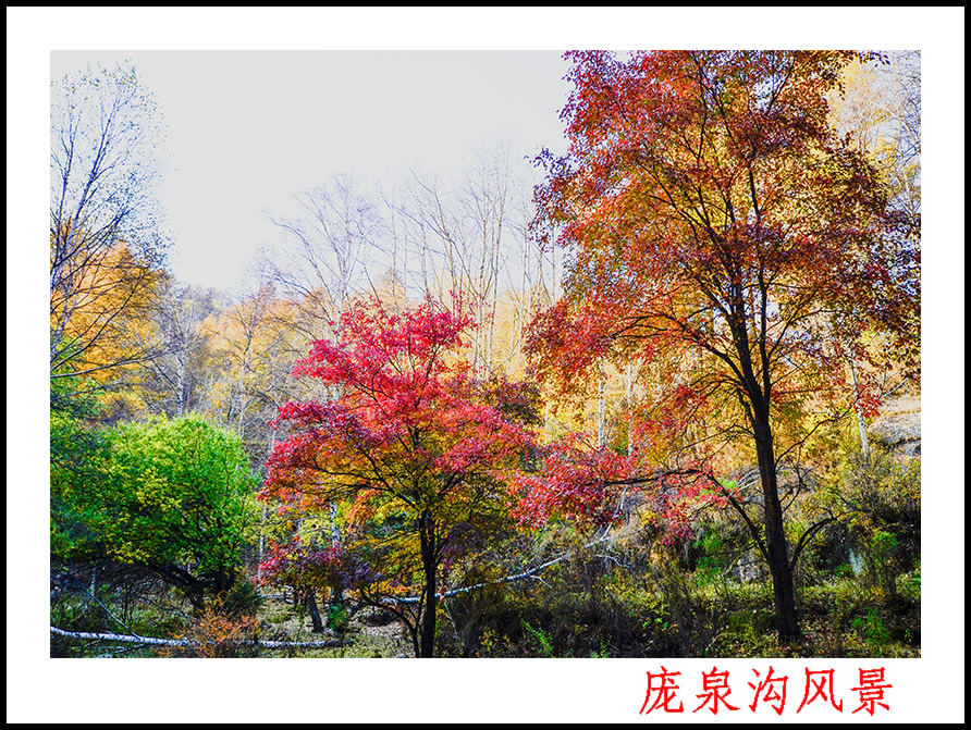 2013��10��5����Ȫ����Ƭ�� 0222.jpg