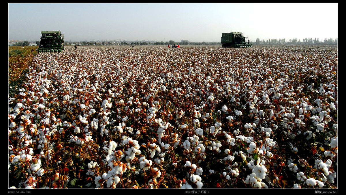 ������ȡ����      ʰ������  (1)����.jpg