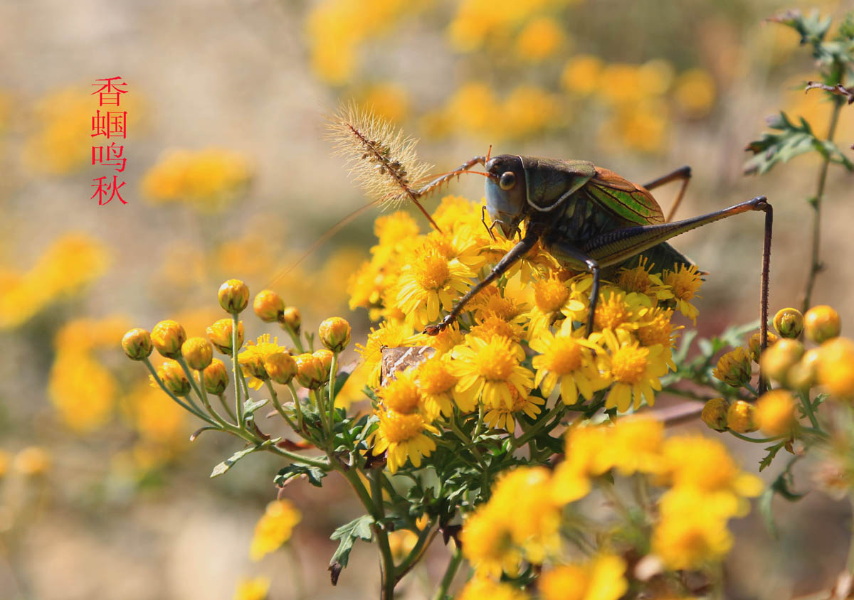 ���ӡ�� 132.jpg