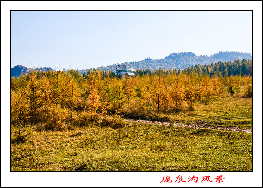 2013��10��5����Ȫ����Ƭ 11799.jpg