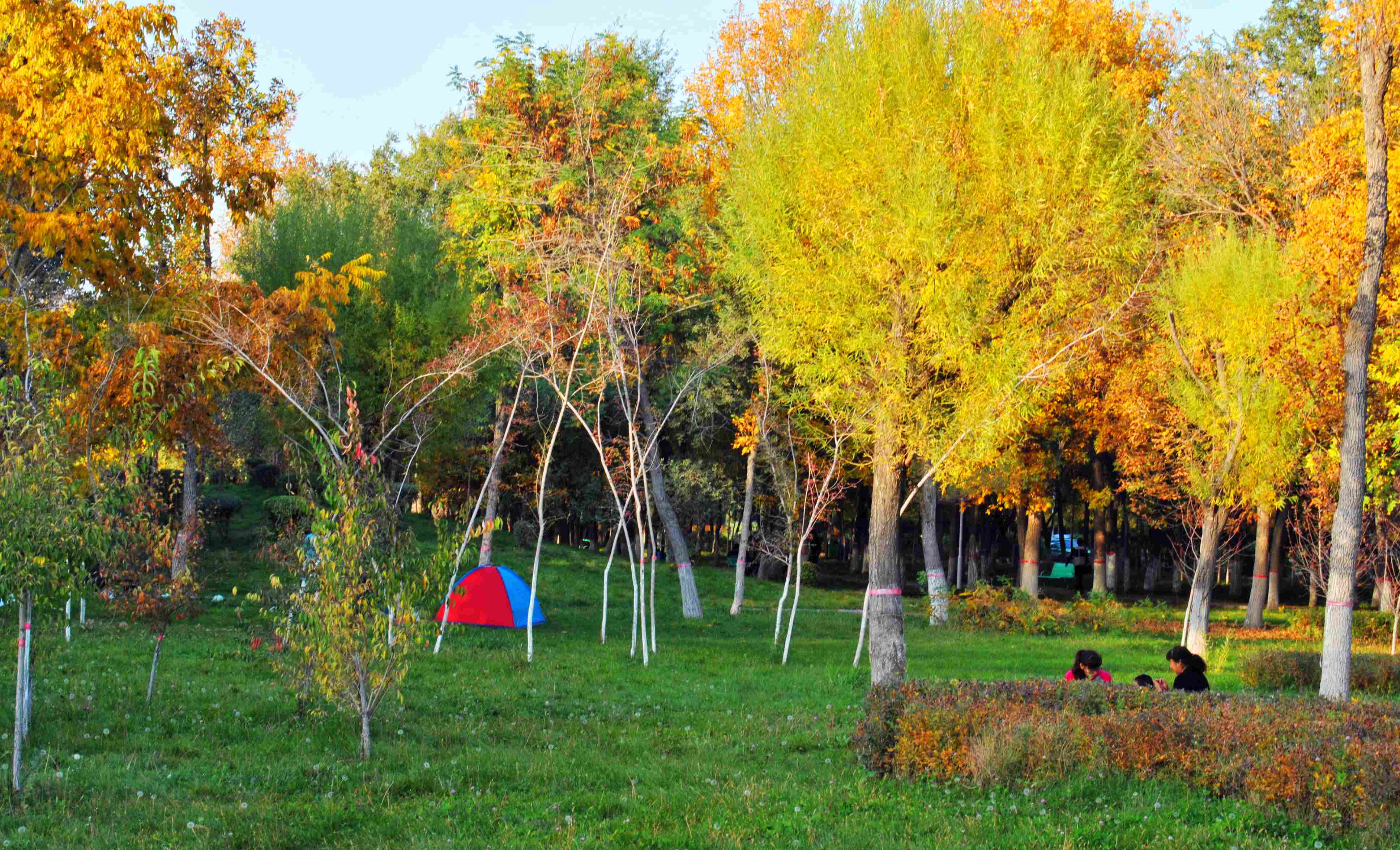 ��ǿ 002_����_����.jpg