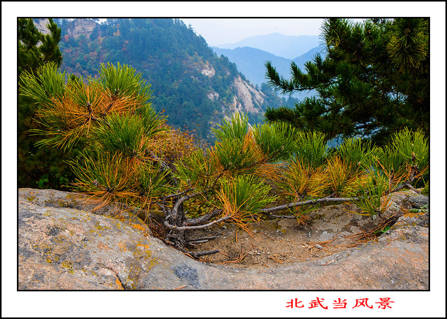 2013��10��5����Ƭ 13866.jpg