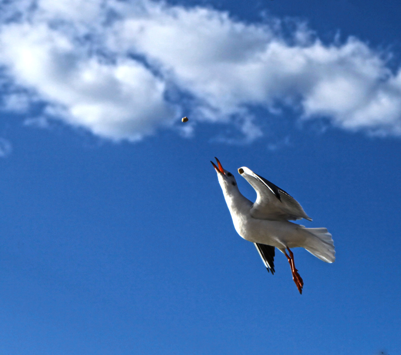 ���ϵ��700 (51)...jpg