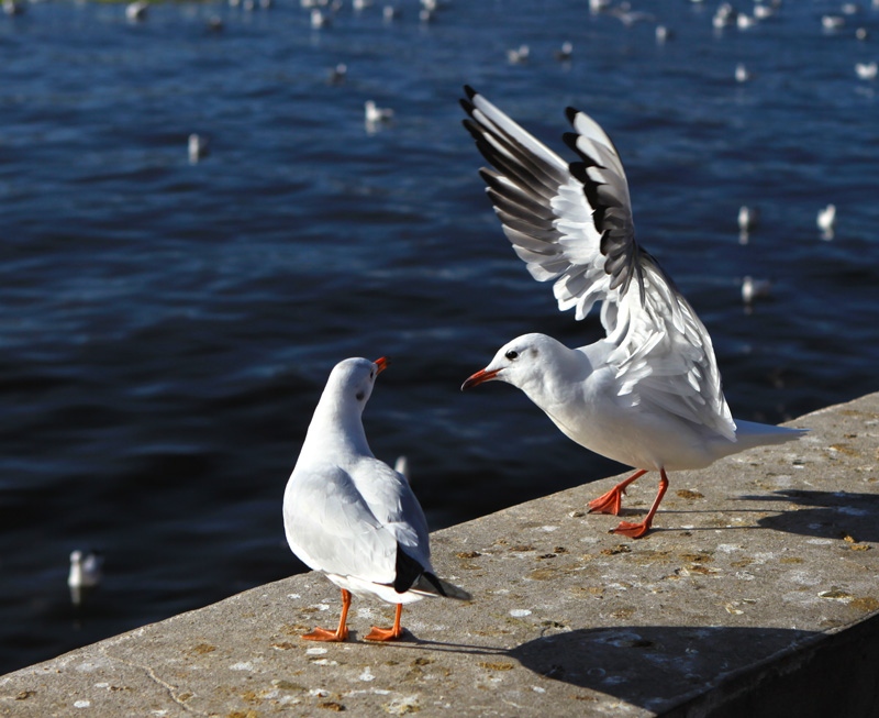 ���ϵ��700 (68)...jpg