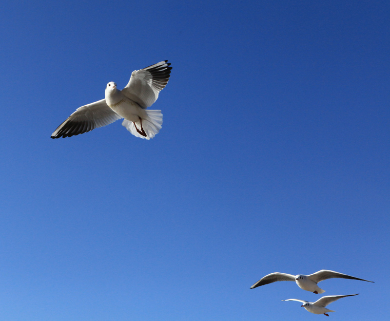 ���ϵ��700 (89)...jpg