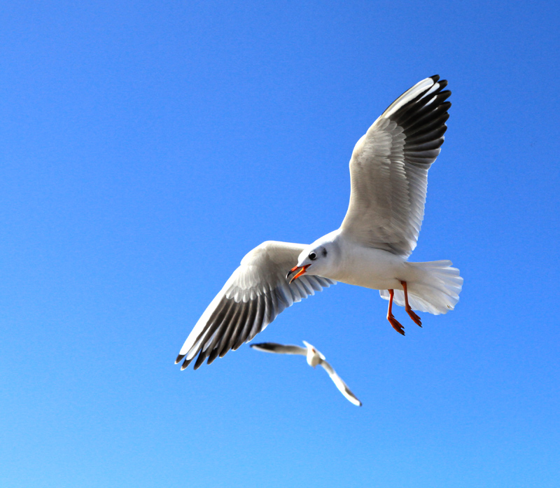 ���ϵ��700 (92)...jpg