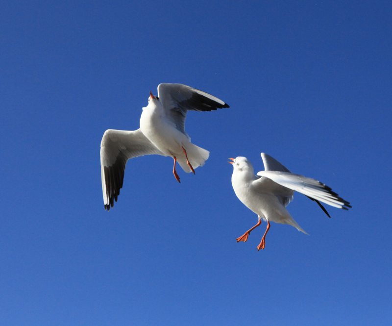 ���ϵ��700 (97)...jpg