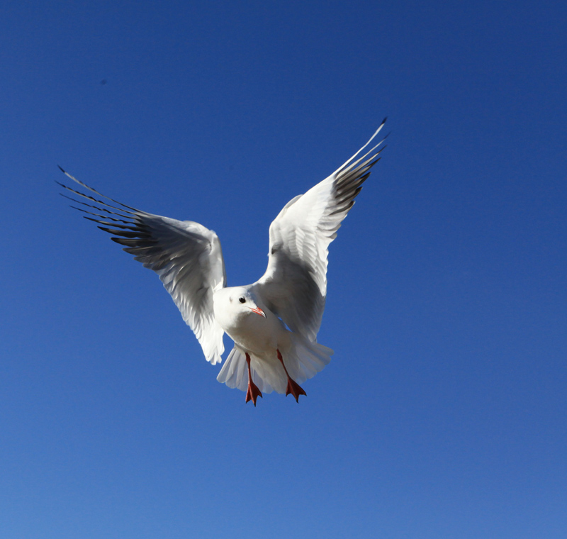 ���ϵ�غ�Ÿ 707 (233)...jpg