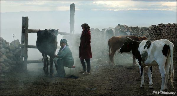 05.������Ʒ����������The Morning Mist.jpg