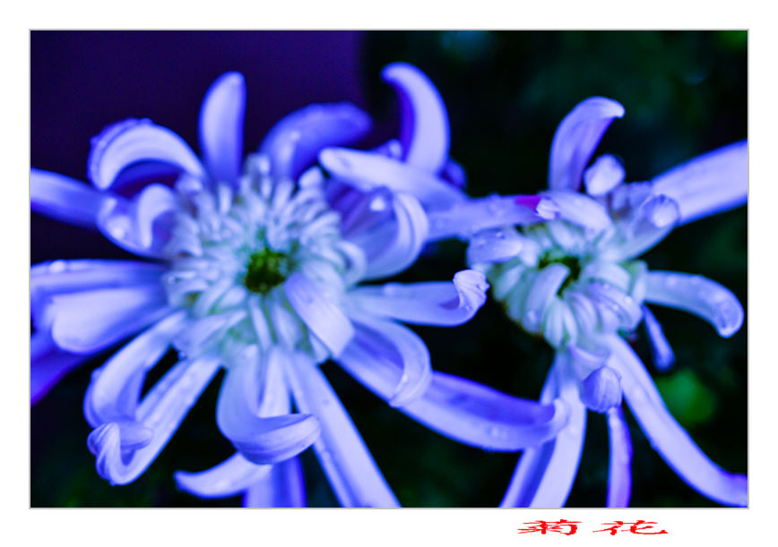 2013��10��13�վջ���Ƭ 10077.jpg