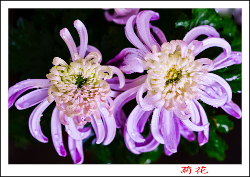 2013��10��13�վջ���Ƭ 10144.jpg