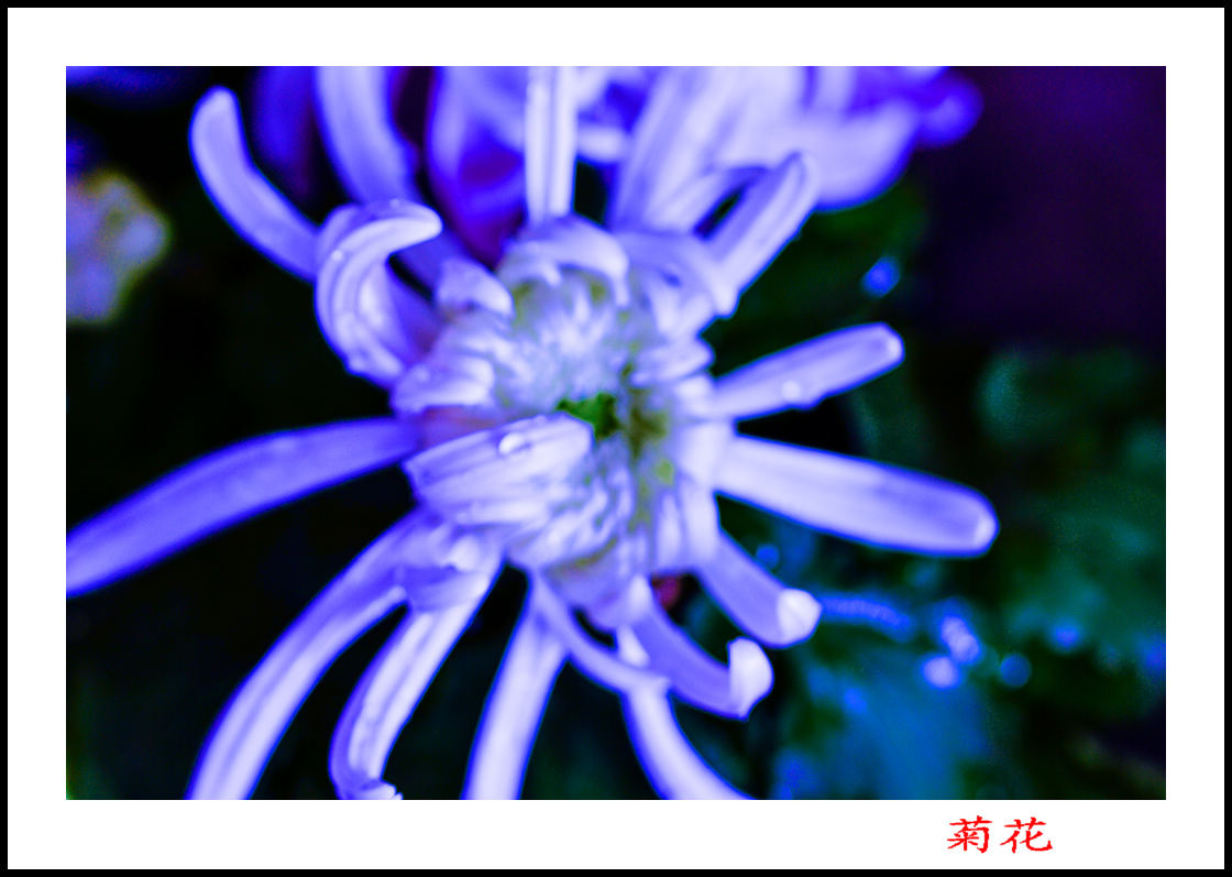 2013��10��13�վջ���Ƭ 10044.jpg