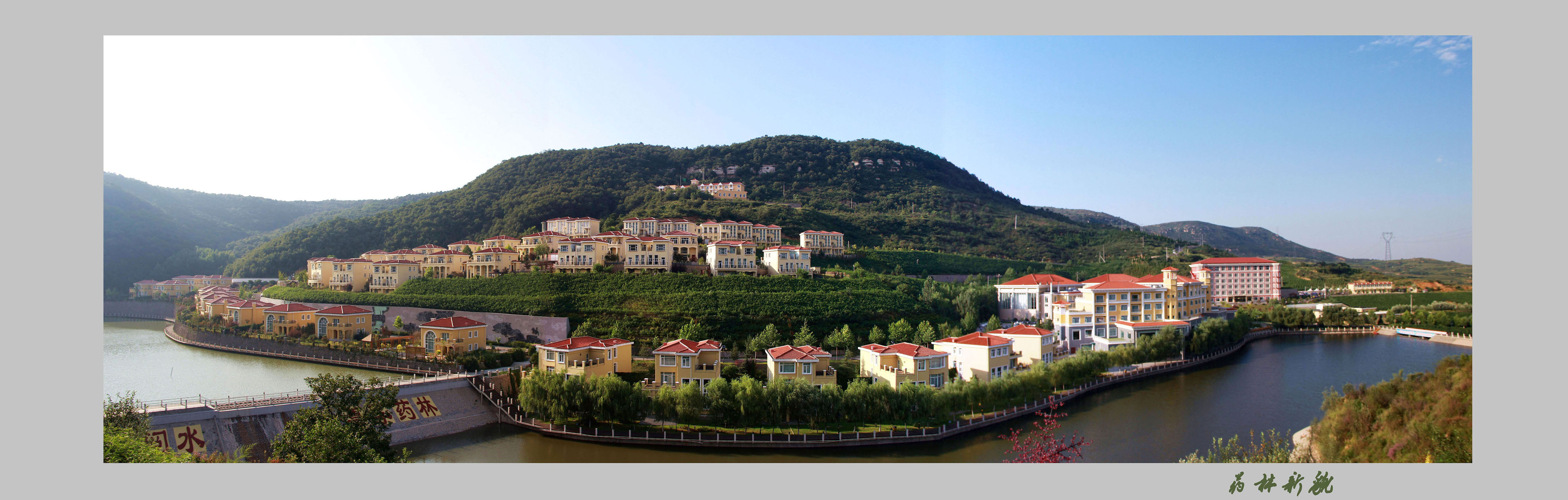 ҩ����ò.  ����.jpg