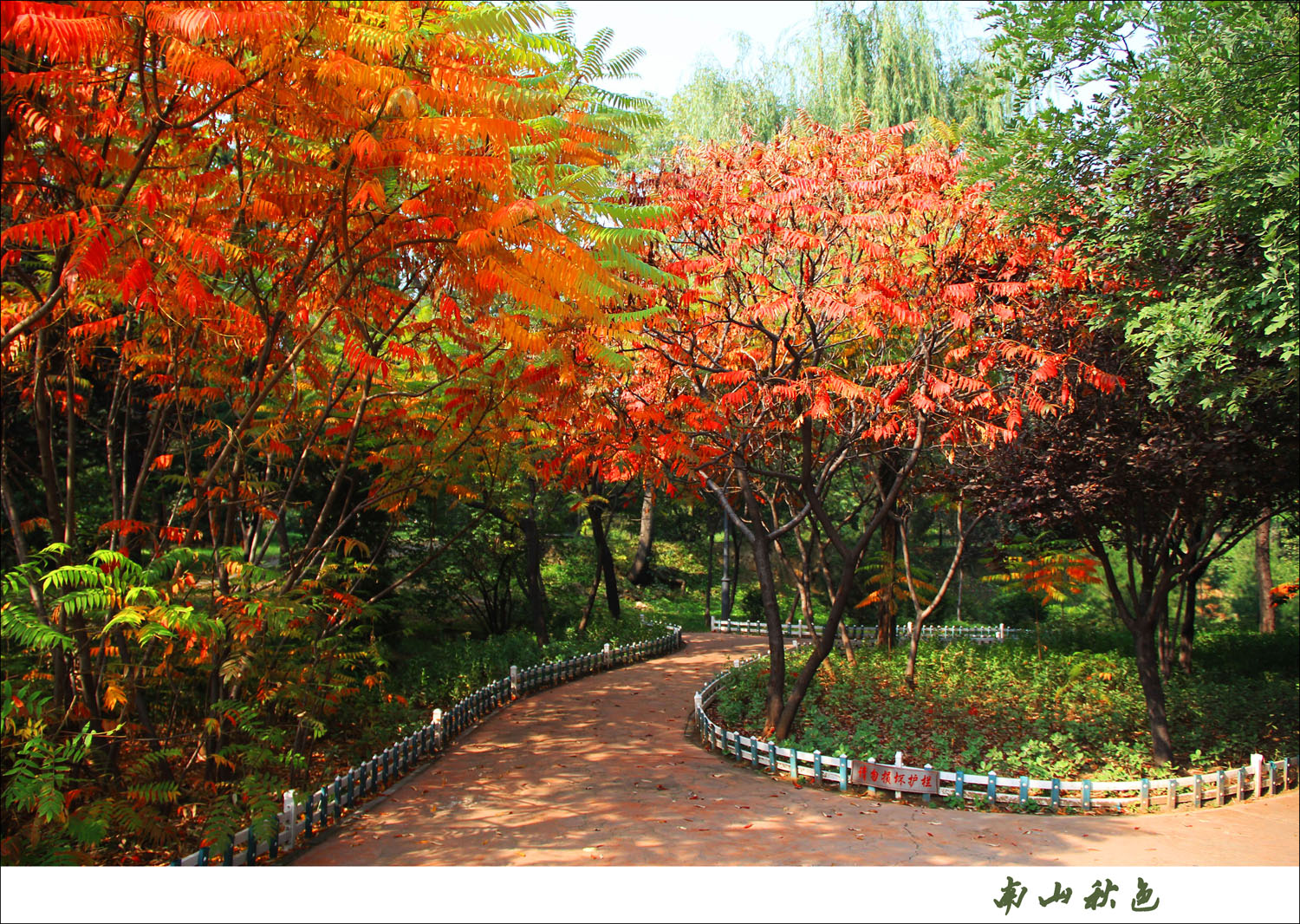 IMG_6398 ����.jpg