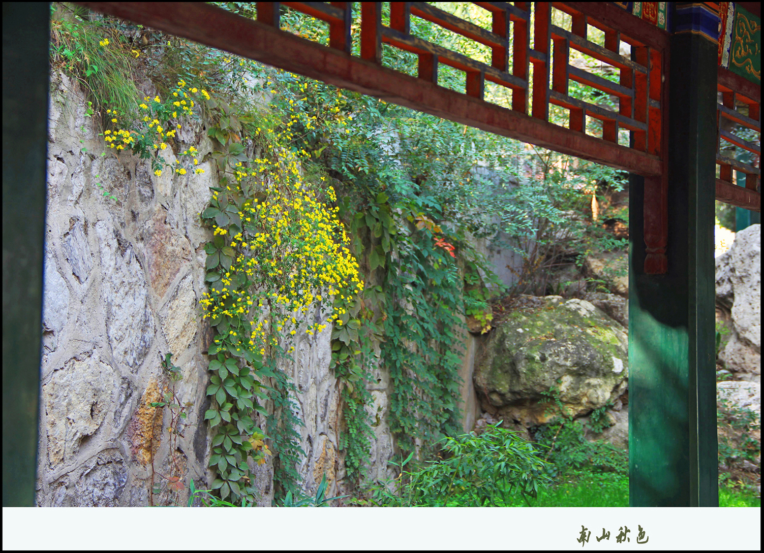 IMG_6432���� ����.jpg