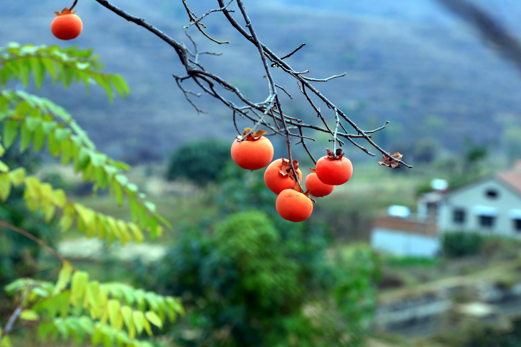 bao�Խ��� 04.jpg