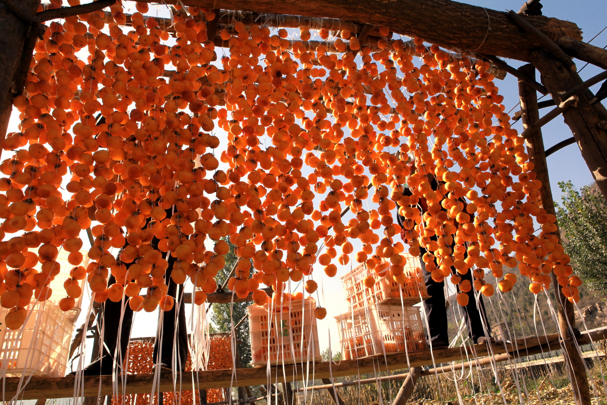 �� �Խ���05.jpg