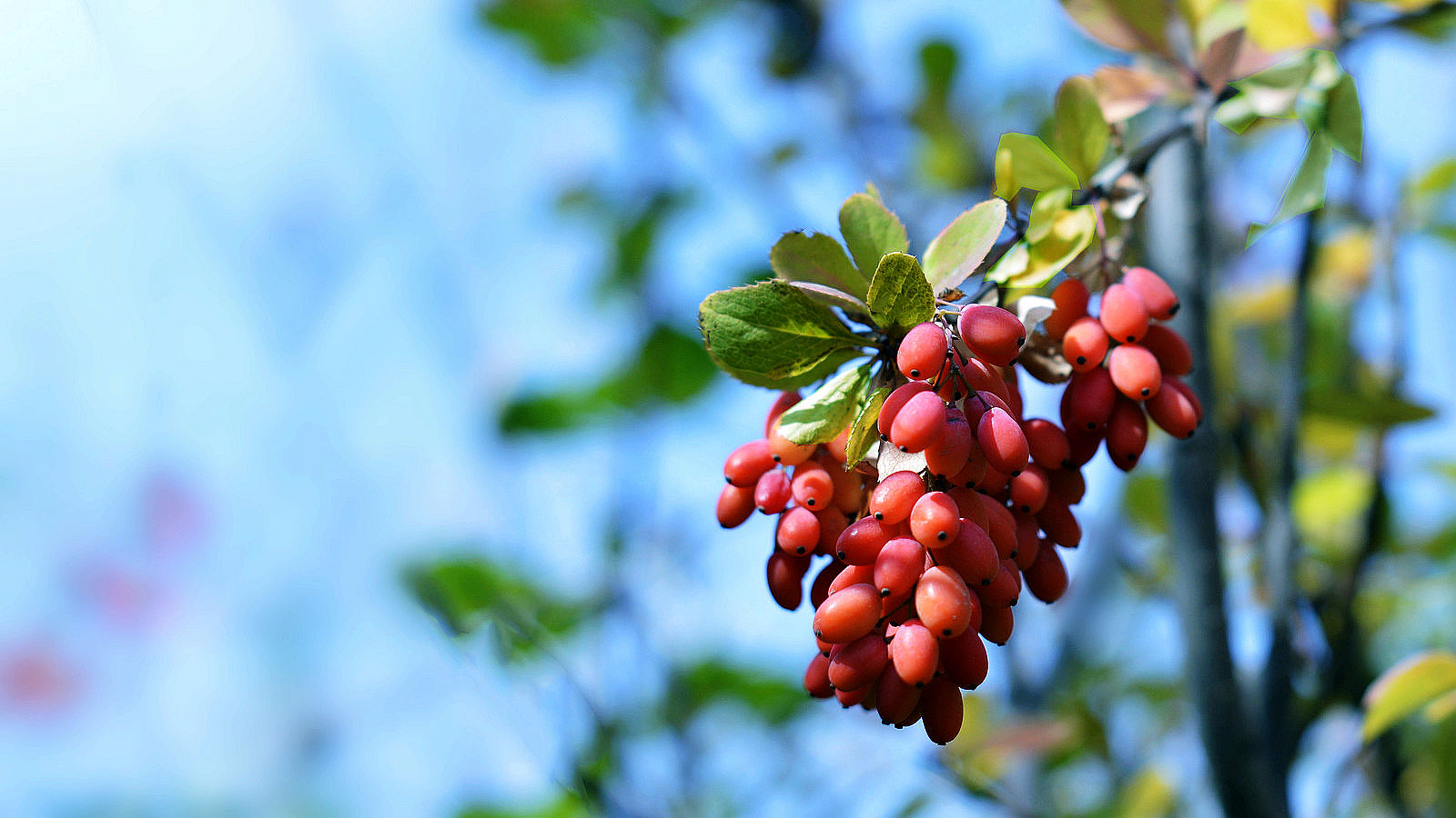 ����  ��·�ֳ���Ӱ (5)_����.jpg