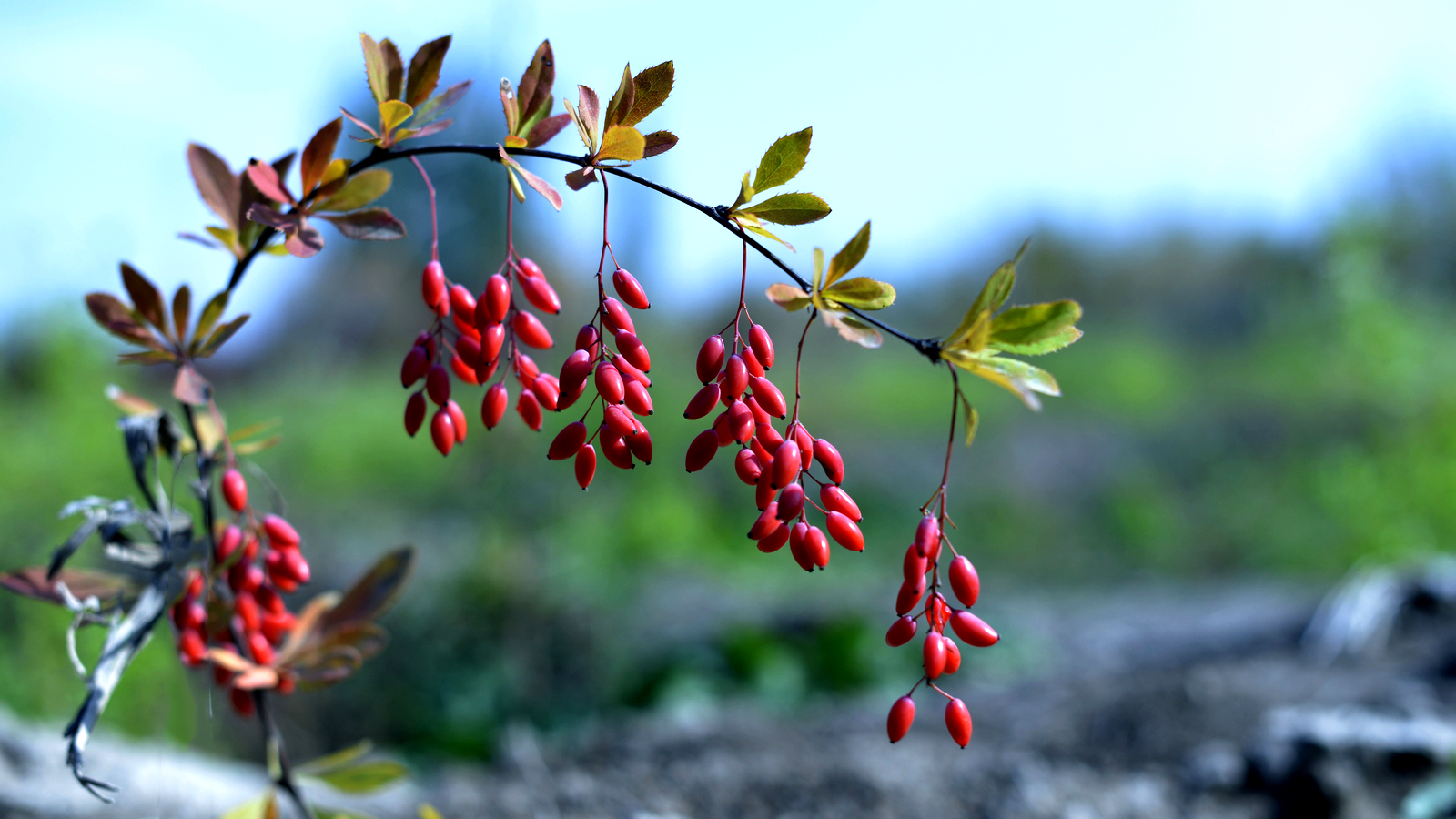 ����  ��·�ֳ���Ӱ (7).jpg