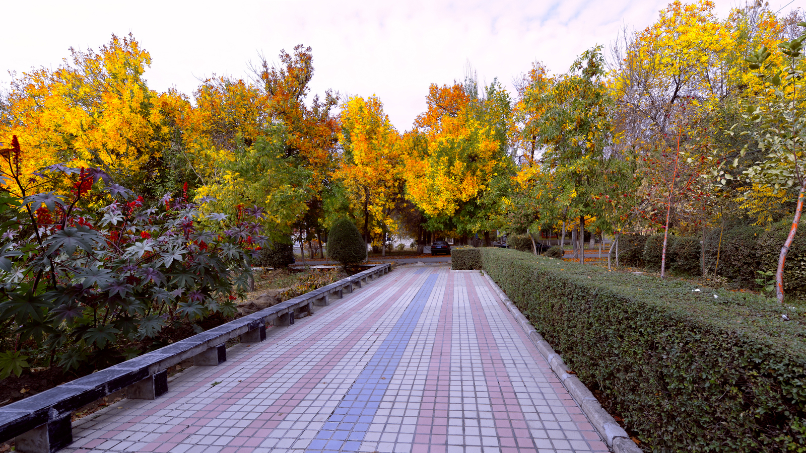 ����  ��·�ֳ���Ӱ (59).jpg