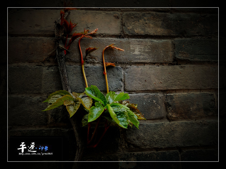 DSC00927_���� ����.jpg