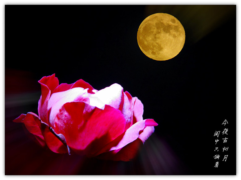 DSC03080.jpg_���� ����.jpg