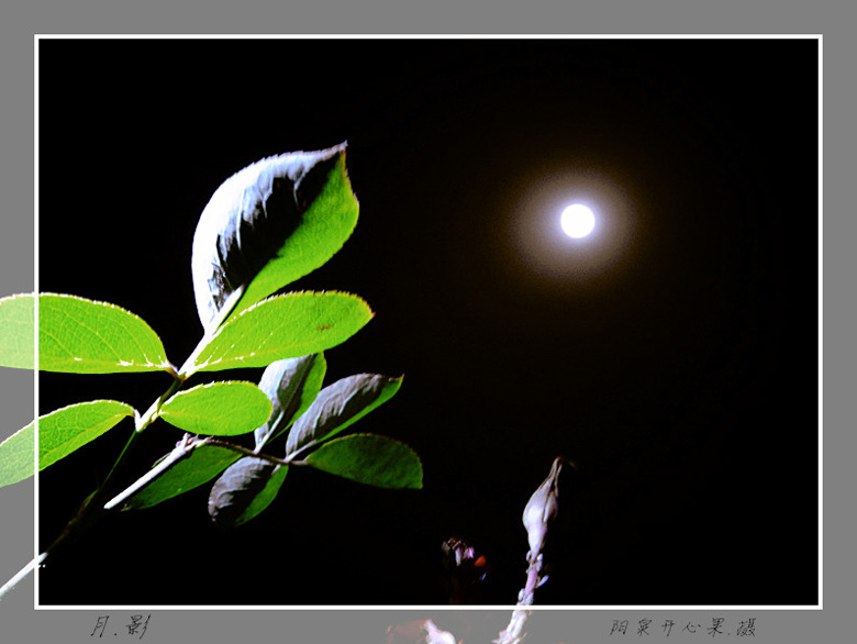 DSC03085_���� ����.jpg