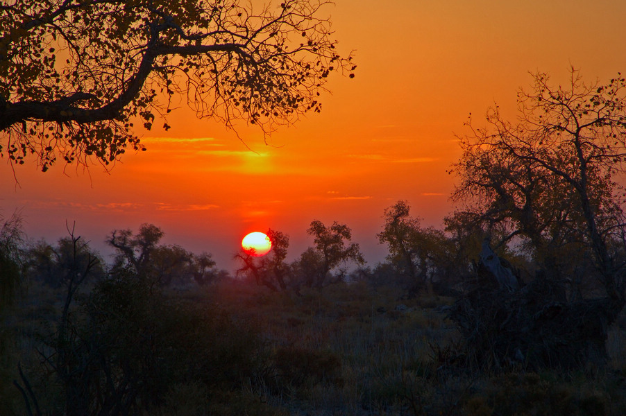 02���ճ�����ӡ���ʯ���ӣ���ѧ���� ���Ƚ�.jpg