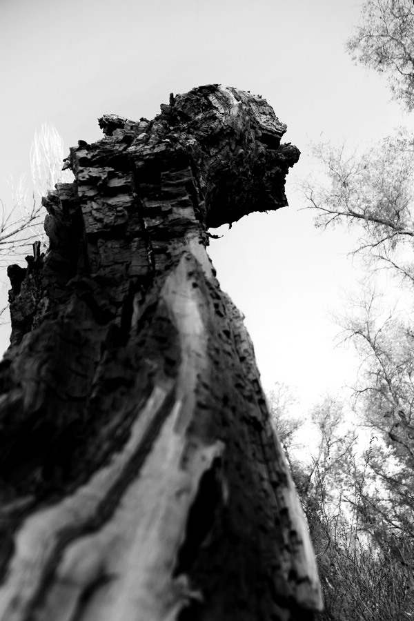 04���������ˡ�(��ʦ����Ц���� ���Ƚ�.jpg