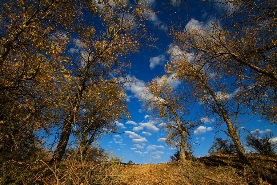 25.�����������µĽ�������ʦ���������� ���㽱.jpg