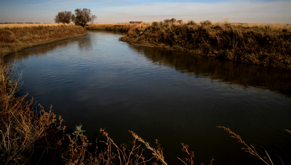 Ī��������ɫ