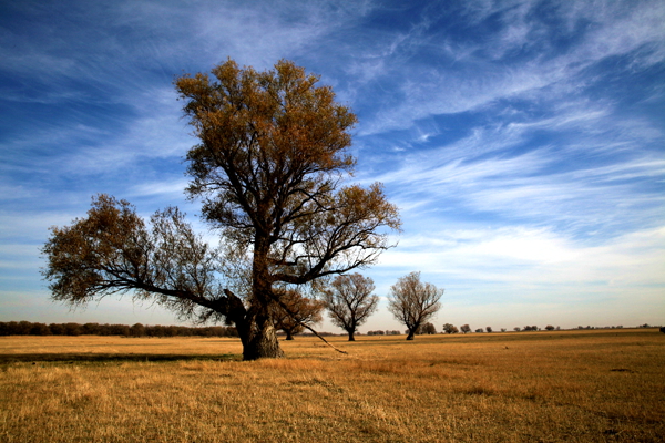 Ī��������ɫ